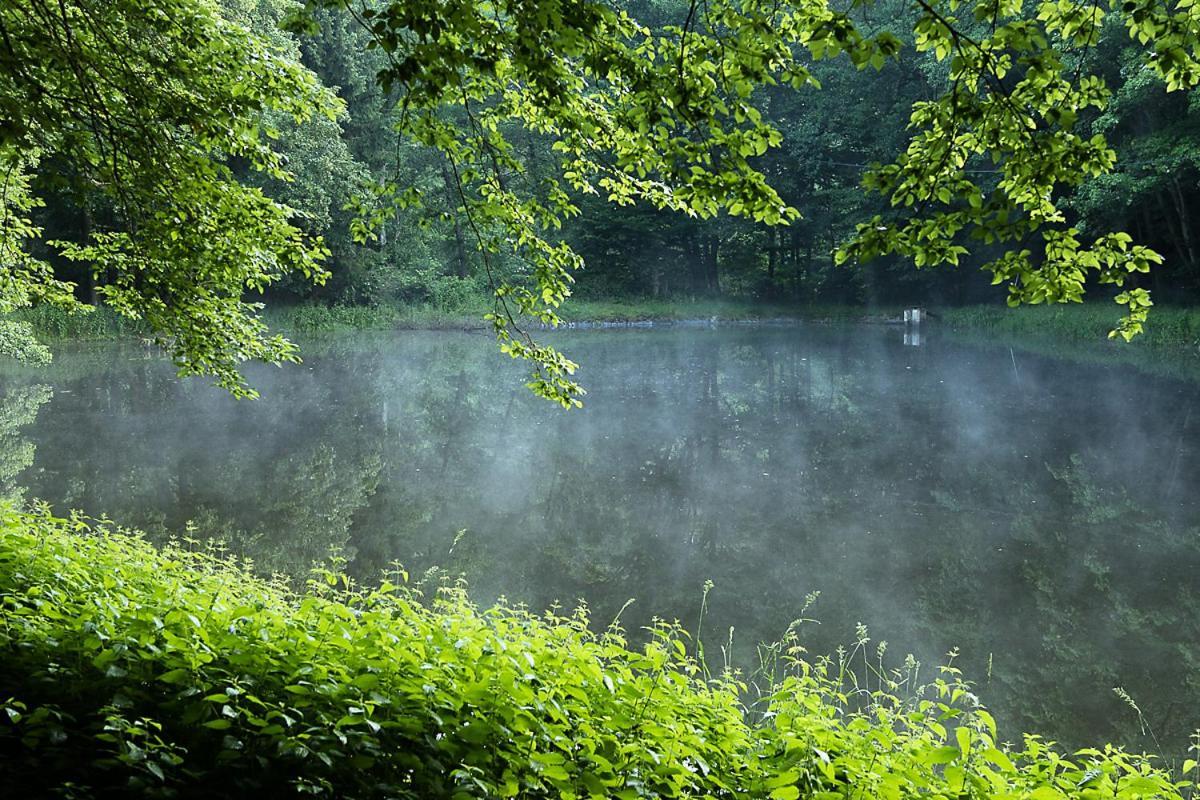 Landgasthof Hieren Muehle Ney Zewnętrze zdjęcie
