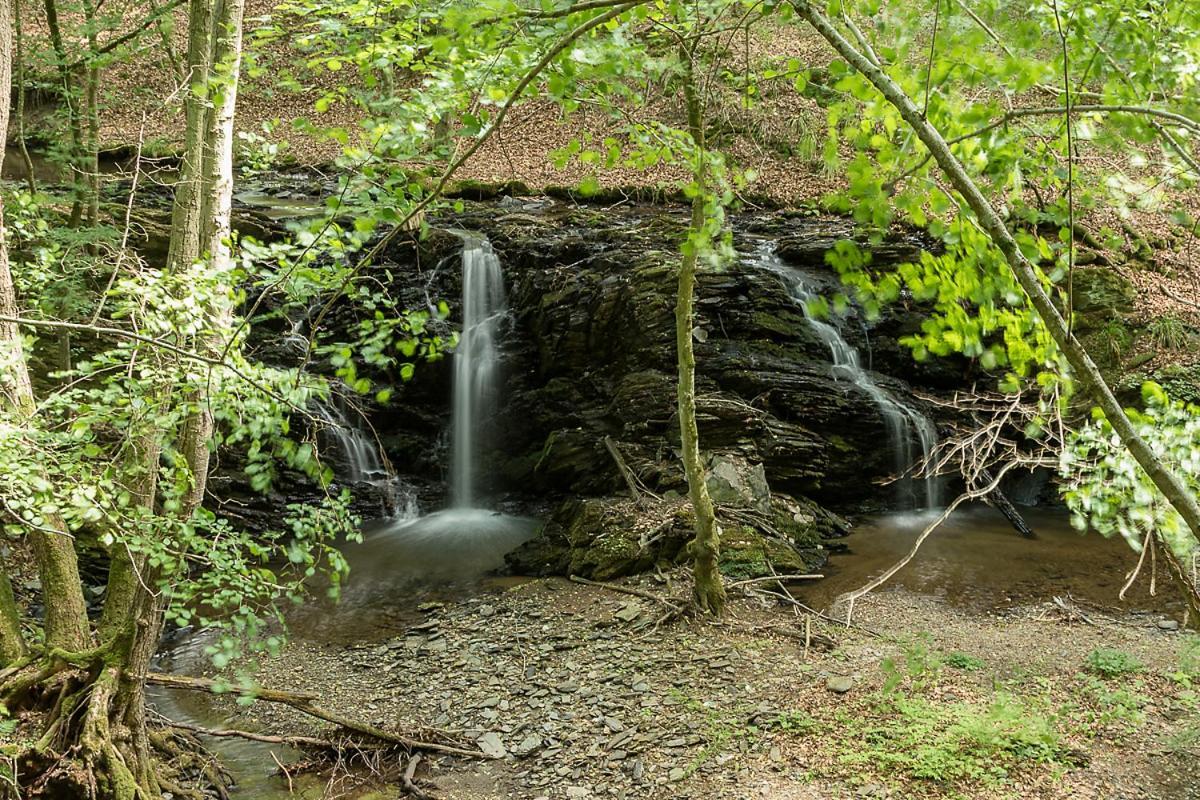 Landgasthof Hieren Muehle Ney Pokój zdjęcie